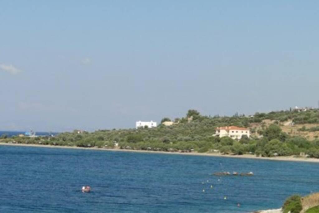 Seaside Villa AndroNikos  Amarinto Exterior foto